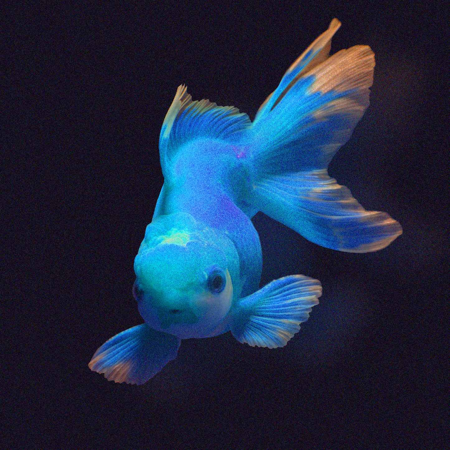 Undersea - 101 bpm - D minor - Westcoast Type Beat