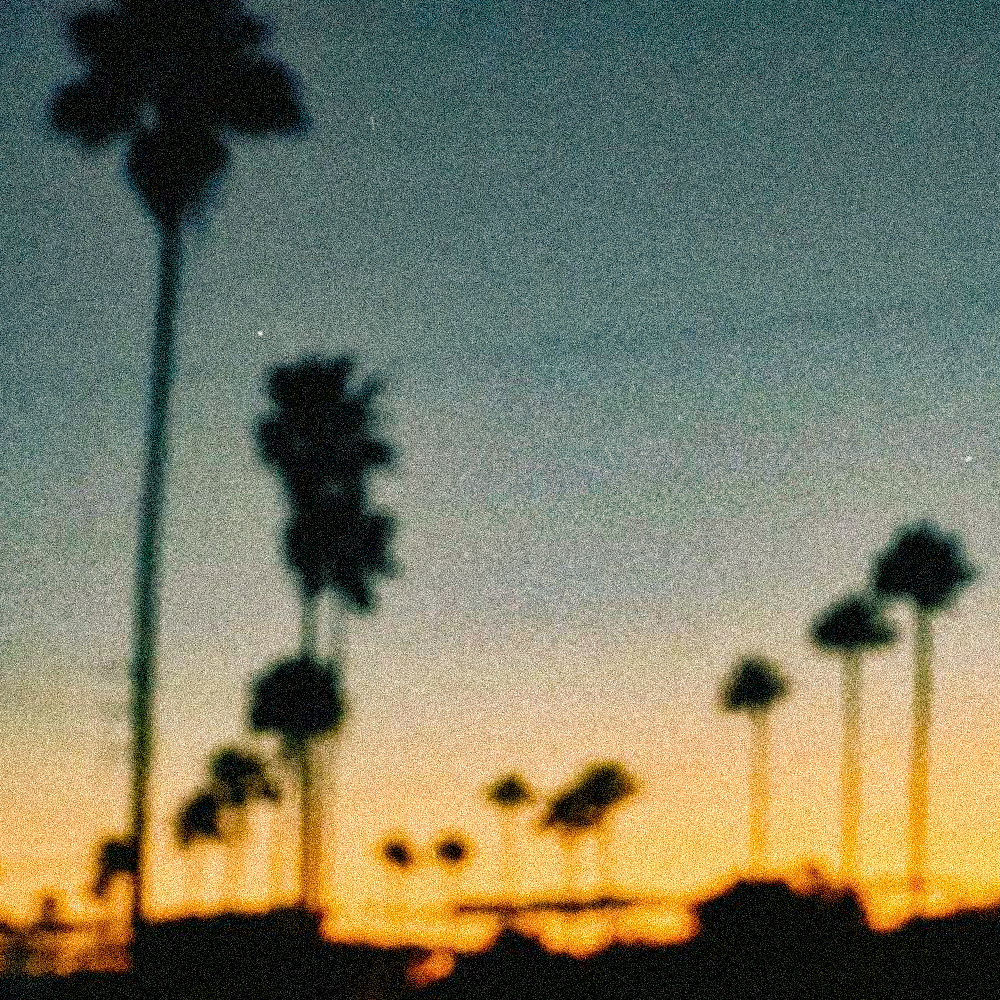 Endless Summer - 89 bpm - E minor - West Coast Type Beat