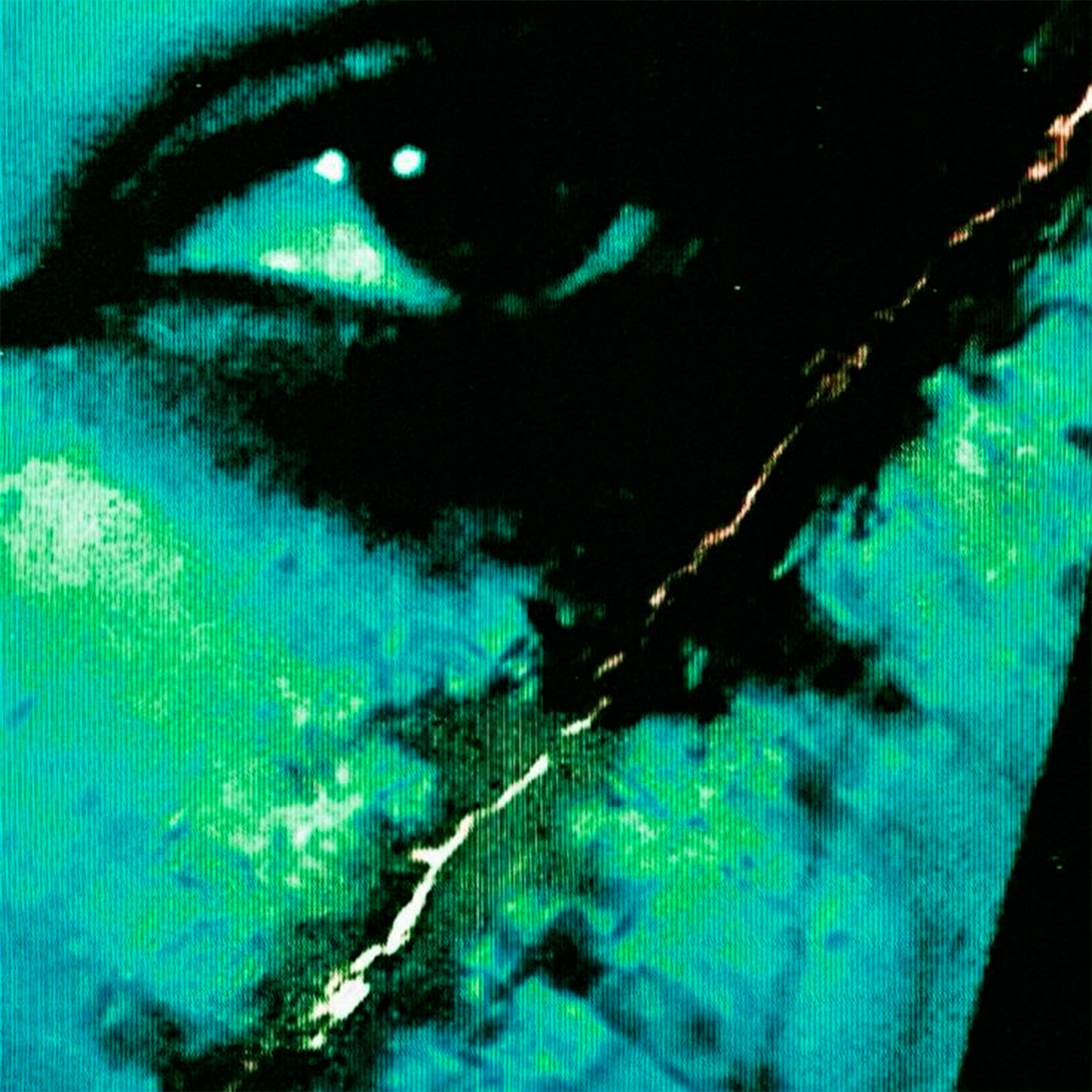 NG+ - 124 bpm - A# minor - Jolagreen Type Beat