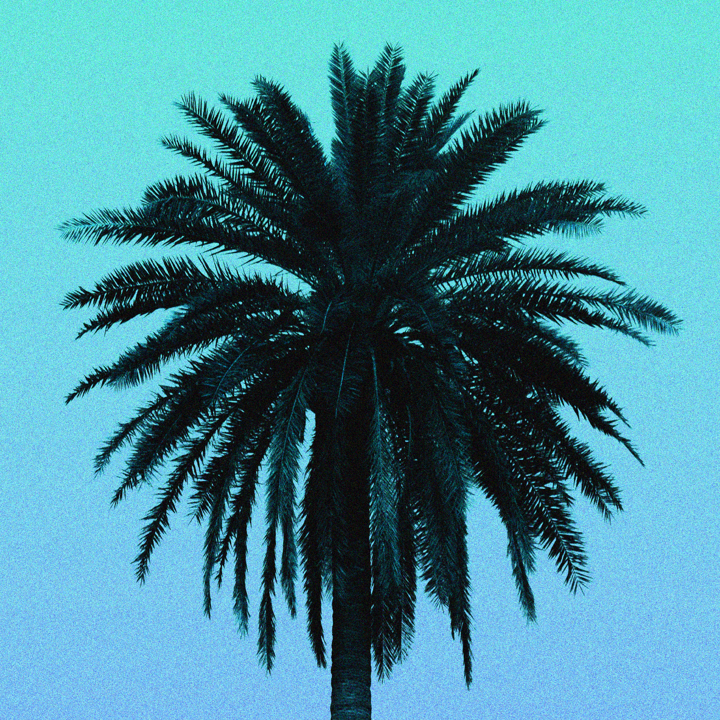 Palm - 92 bpm - A# Major - West Coast Type Beat